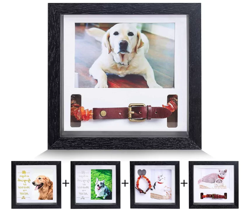 Cadre Photo Collier pour Animaux de Compagnie