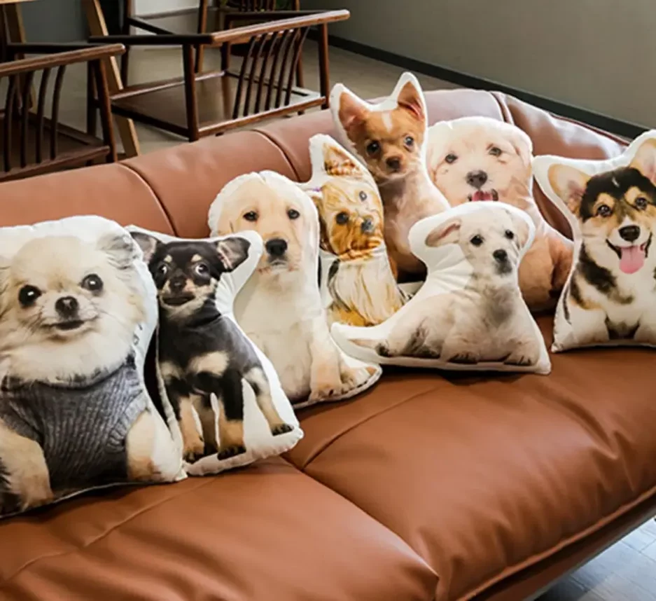 Coussin Personnalisé pour Animaux de Compagnie-1