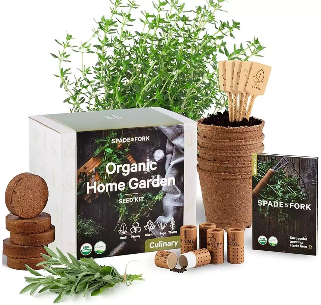 Jardin d'herbes DIY