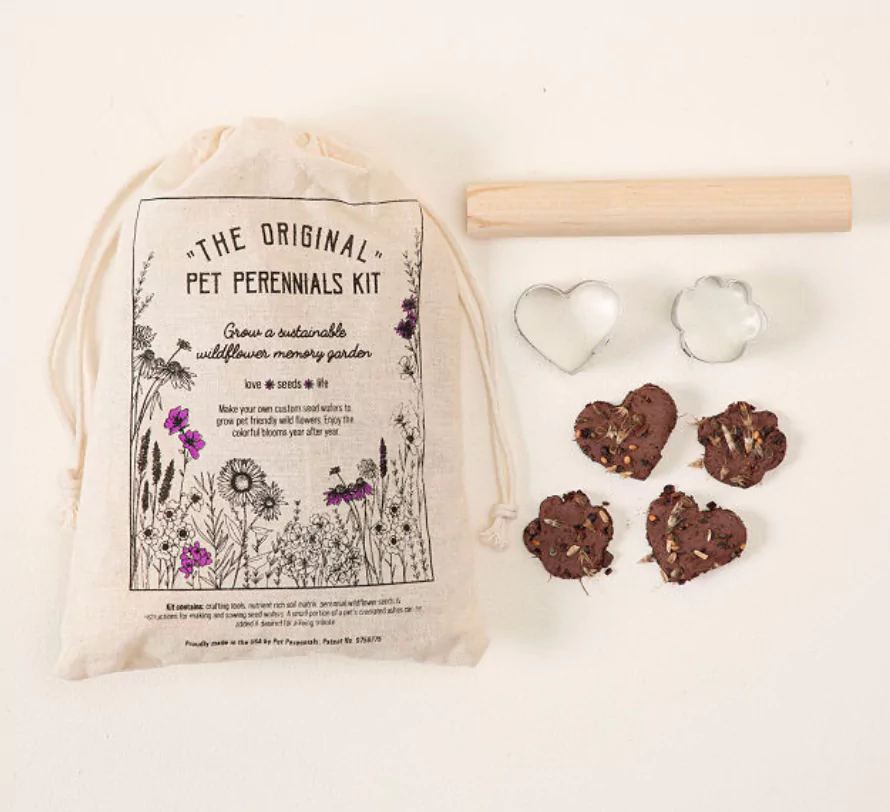 Kit de Fleurs de Jardin